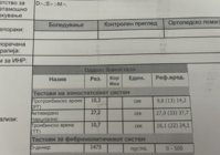 IMG_7919.jpeg