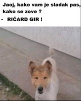 FB_IMG_1742750217080.jpg