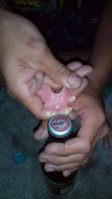 FB_IMG_1742923322523.jpg