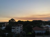 IMG_1584.jpeg