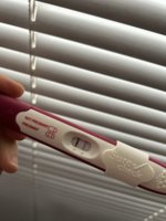IMG_7163.jpeg