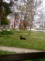 IMG_20250402_175608.jpg