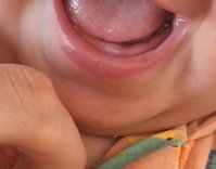 20250403_221615.jpg