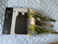 IMG_5789.jpeg