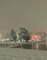 IMG_5565.jpeg