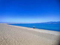 IMG_20240618_161147.jpg