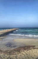 IMG_2056.jpeg