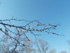 DSCN1387.JPG