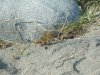 DSCN1393.JPG