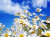 Beautiful-Spring-Wallpaper.jpg