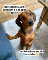FB_IMG_1744756557912.jpg