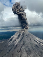 istockphoto-2161433992-612x612.jpg