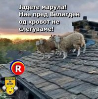FB_IMG_1744792608983.jpg