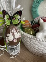 IMG_1245.jpeg