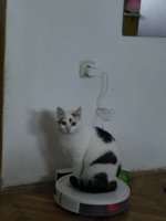 IMG_20250419_070518.jpg