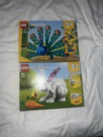 IMG_3970.jpeg