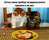 FB_IMG_1745678080424.jpg