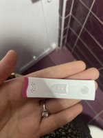IMG_5023.jpeg