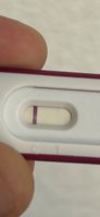 IMG_4231.jpeg