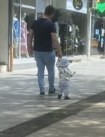 IMG_9927.jpeg