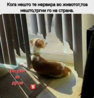 FB_IMG_1746038289326.jpg