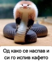 FB_IMG_1746191127432.jpg