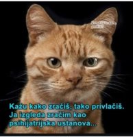 FB_IMG_1744217082030.jpg
