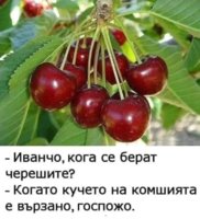 FB_IMG_1746462437549.jpg