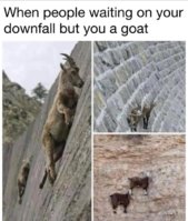 FB_IMG_1746874828404.jpg