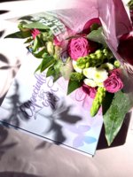 IMG_6341.jpeg