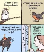 IMG_3545.jpeg