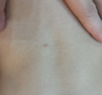 IMG_0167.jpeg