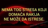 FB_IMG_1747000272196.jpg