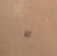IMG_0668.jpeg