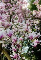 IMG_6401.jpeg