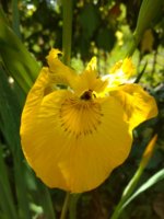 IMG_20250519_142013378.jpg