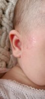 IMG20250521062120__01.jpg