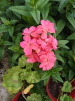 IMG_20250522_171413.jpg