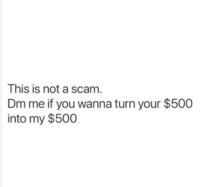 FB_IMG_1747951134996.jpg