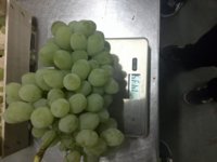 IMG_3723.jpeg