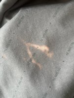 IMG_2674.jpeg