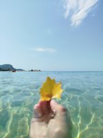 IMG_20240719_104620.jpg