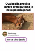 FB_IMG_1748283211655.jpg