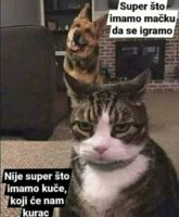 FB_IMG_1748874443742.jpg