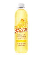 lemon-pineapple-0.5l.png