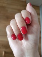 IMG_20250606_090427~2.jpg