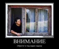 IMG_7956.jpeg