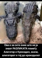 FB_IMG_1749401828949.jpg