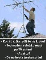 IMG_7976.jpeg