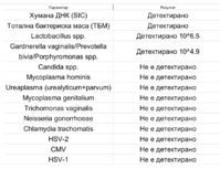 IMG_4474.jpeg